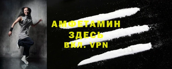 молекула духа Алексеевка