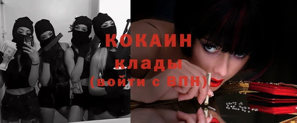 кокс Алзамай